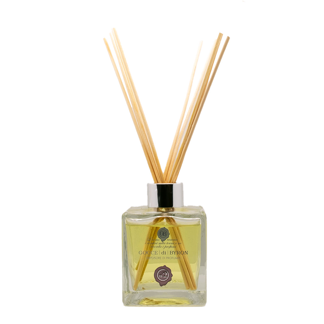 Diffusore ambiente n.2
