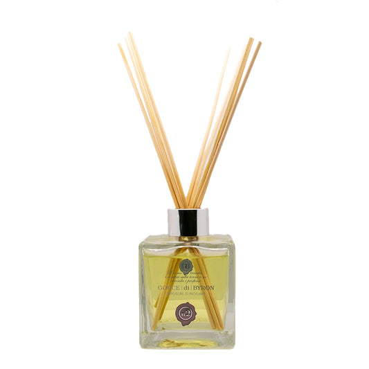 Diffusore ambiente n.2