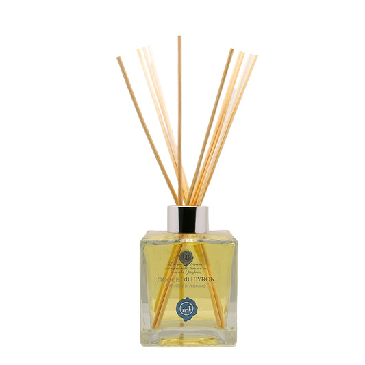 Diffusore ambiente n.4